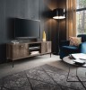 TV-alus Vega